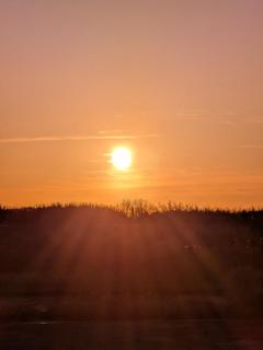 ぽちゃカワましゅまろ～GRINDグループ～　体験ジュリ