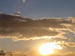 ご主人様いらっしゃい 大分店　