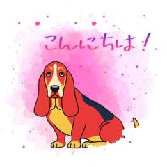 JaPON　新人真子ﾏｺ