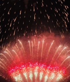 さくら　ゆり　(濃密巧妻)