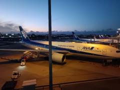 Fresh　ゆめか(AF無料)