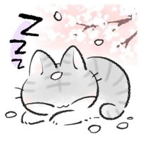 待ちナビ さとみ 寝ちゃてました