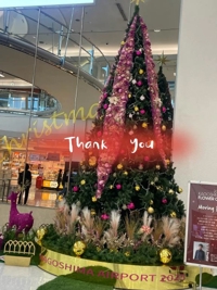 マドンナSANSAIN 宮崎市デリヘル まさき（新人♪） 写メ日記「12.22    -」