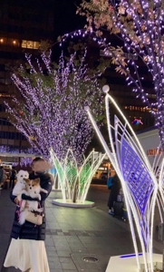 マドンナSANSAIN　すず