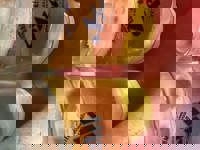 大人の遊園痴「スピーディー」　りつ（敏感で癒し系）