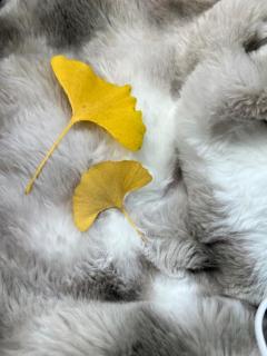 Buddy　のぞみ☆超敏感の業界未経験女子☆