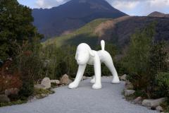 おはようございます〜🌄