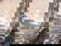 Relaxation spa Clover リラクゼーションスパ クローバー　セナ★Sena