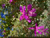 大人の遊園痴「スピーディー」　りつ（敏感で癒し系）