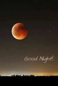 TheGrandPhoenix　ありさ※可愛い清楚奥様