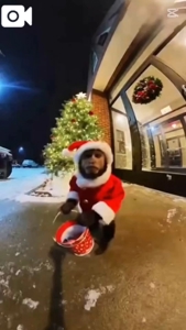 薩摩♂風俗の神様鹿児島店　あさひな