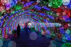 鹿児島ちゃんこ薩摩川内店　なな