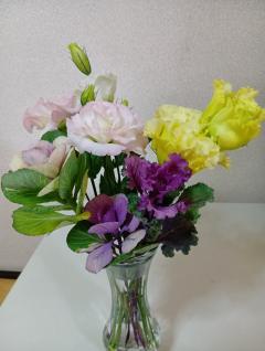 おはようございます(⁠^⁠^⁠)💞