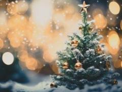 commit　みどり【五十路】