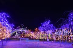 人妻24時　しずく