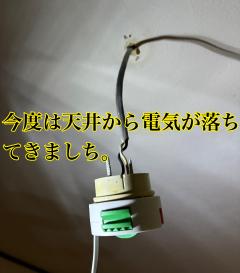 キュート かおり