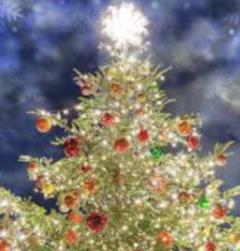  さやか〜童顔若奥様〜