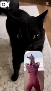 薩摩♂風俗の神様鹿児島店　あさひな