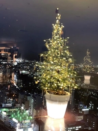 待ちナビ いろは メリークリスマス