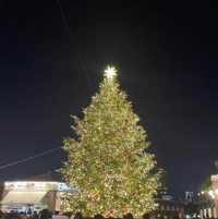 お兄様、会いたいです