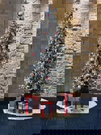 宮崎ちゃんこ中央通店　さな