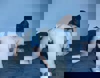 宮崎ちゃんこ中央通店　ある