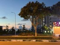 待ちナビ しょう 12/23、午前中お会いしたお客様へ