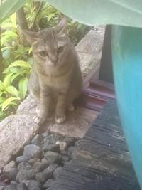 待ちナビ しょう 12/23、午後からお会いしたお客様へ