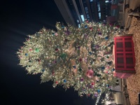 Liberty(リバティ)　