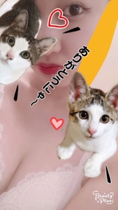 ハンドリング　亀頭責め専門店　ユメピリカ