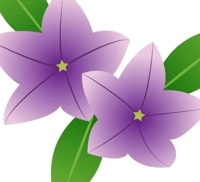 TheGrandPhoenix　ききょう※エロ美魔女