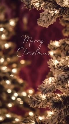 Madam  Cherish ほずみ ??????? ???????????