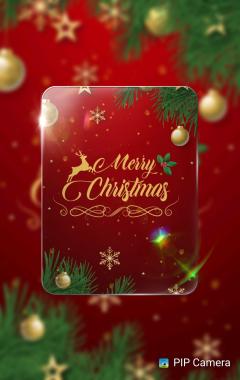 鶴富屋敷 ヒナ、(癒しの女王)