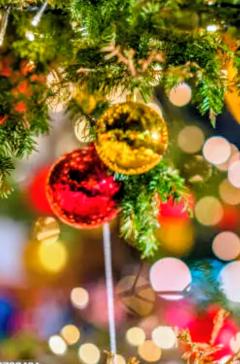 🎄メリー・クリスマス🎄