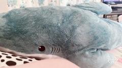 鹿児島ちゃんこ薩摩川内店(薩摩川内市) しの