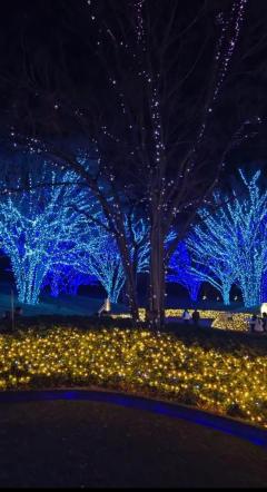 ぽちゃカワましゅまろ～GRINDグループ～　あさみ★パイパン娘★