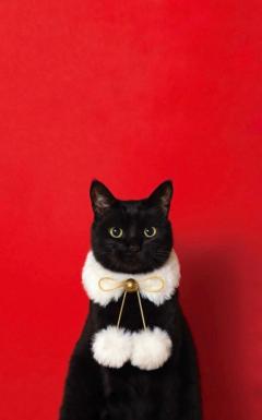 DEBUT延岡店　なお☆予約率99%!!