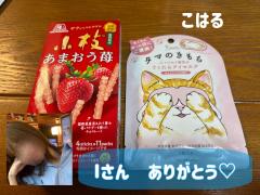 MICHELIN ミシュラン　こはるKOHARU