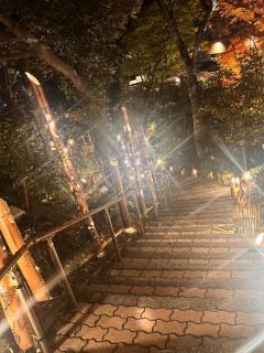 ☆クーリスマスが☆