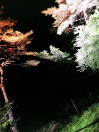 かりゆしOLの秘密(那覇市) なこ★性欲万点お姉さん