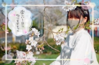 お得にHに遊ぼうよ