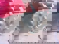 大人の遊園痴「スピーディー」　ゆう（美脚でスレンダー）