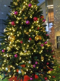 待ちナビ さとみ 昨日のクリスマス