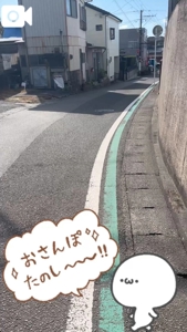 宮崎ちゃんこ都城店　こはる