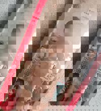 Liberty(リバティ)　