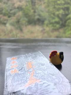 デビュー✨オブ⛩️ゴシュイン