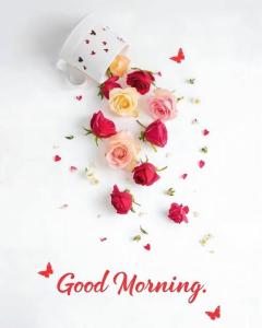 SUZUME ちはる おはようございます(?・?∀?・?)