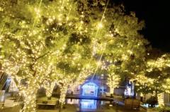 人妻24時　しずく