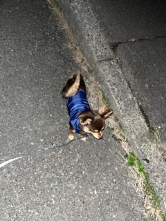 CLUB LUMINE Haru【ハル】 寒さの