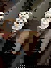 CLUB CHURA　めぐ『新人』